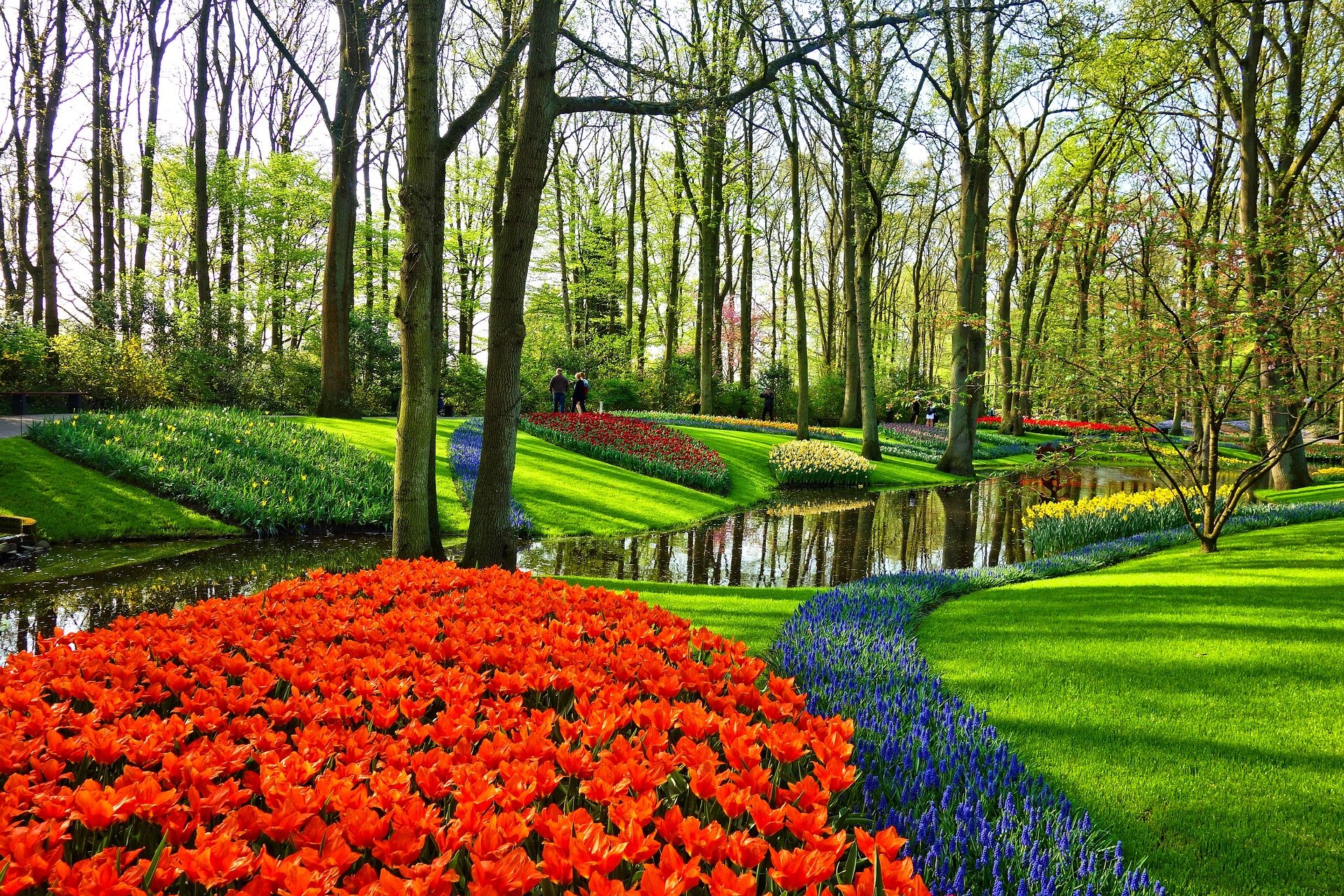 Keukenhof Bungalowpark Tulp Zee