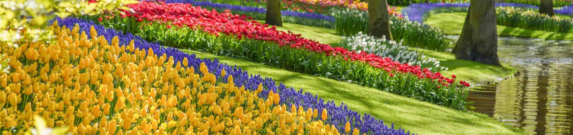 Keukenhof