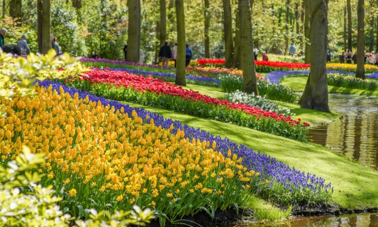 Keukenhof